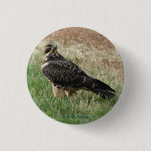B52 Swainson's Hawk Ronde Button 3,2 Cm