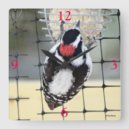 B53 Downy Woodpecker Vierkante Klok