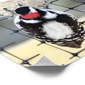 B53 Kleine Bonte Specht Poster (Hoek)