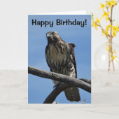 B54 Swainson's Hawk Kaart (Gele Bloem)