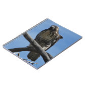 B54 Swainson's Hawk Notitieboek (Linkerzijde)