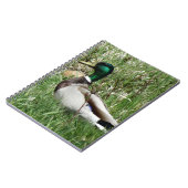 B55 Mallard Duck Drake Greenhead in de Grass Notitieboek (Linkerzijde)