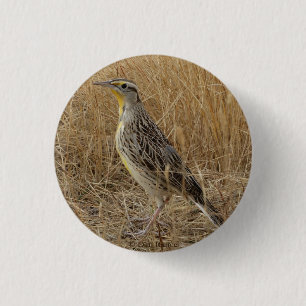 B57 Westelijke Weideleeuwerik Ronde Button 3,2 Cm