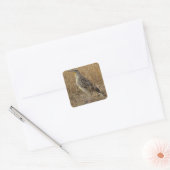 B57 Western Meadowlark Vierkante Sticker (Envelop)