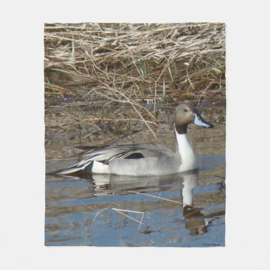 B5 Pintail Duck Drake Fleece Deken (Voorkant)