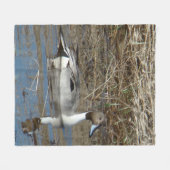 B5 Pintail Duck Drake Fleece Deken (Voorkant (Horizontaal))