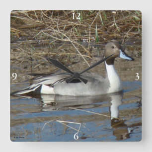 B5 Pintail Duck Drake Vierkante Klok