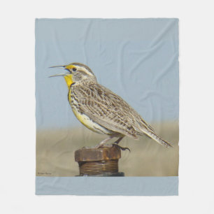 B6 Westelijke weideleeuwerik Fleece Deken