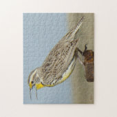 B6 Westerne meadowlark Legpuzzel (Verticaal)