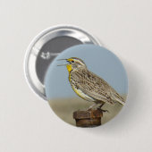 B6 Westerne meadowlark Ronde Button 5,7 Cm (Voorkant /achterkant)