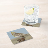 B6 Westerne meadowlark Vierkante Kartonnen Onderzetter (Insitu)