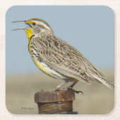 B6 Westerne meadowlark Vierkante Kartonnen Onderzetter (Voorkant)