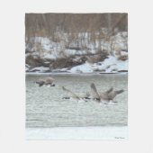 B7 Canadese ganzen over bevroren rivier Fleece Deken (Voorkant)