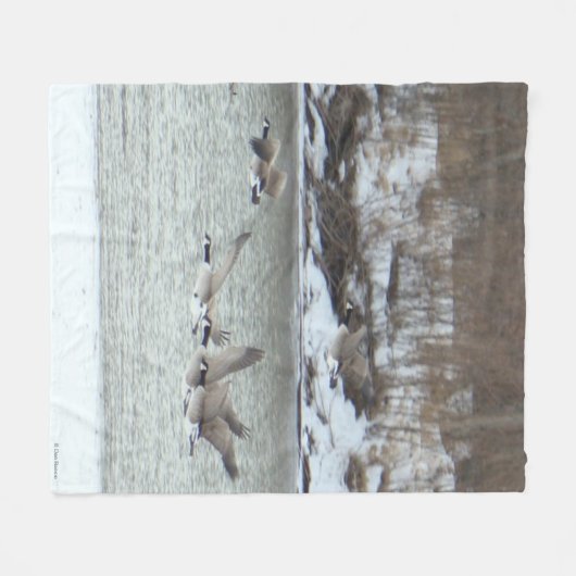 B7 Canadese ganzen over bevroren rivier Fleece Deken (Voorkant (Horizontaal))