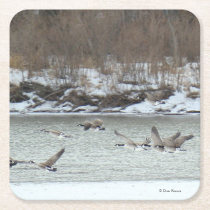 B7 Canadese Ganzen Over Winter Rivier Vierkante Kartonnen Onderzetter