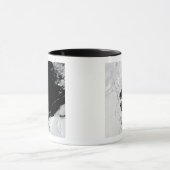 B-15J ijsberg op het Ross-Zee, Antarctica Mok (Midden)