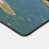 B-17 FORTERESSE DE VOL (Coin)