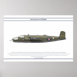 B-25 VS Doolittle Poster