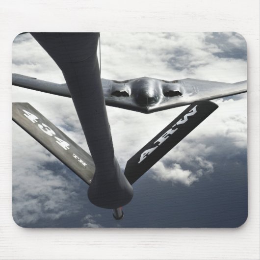 B-2 MUISMAT (Voorkant)