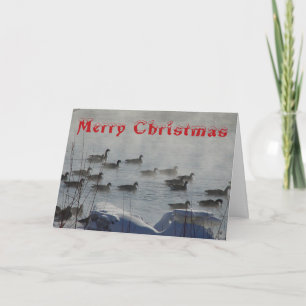 B 49 Canadese Ganzen op Nevelige Rivier Kerstkaart Bedankkaart