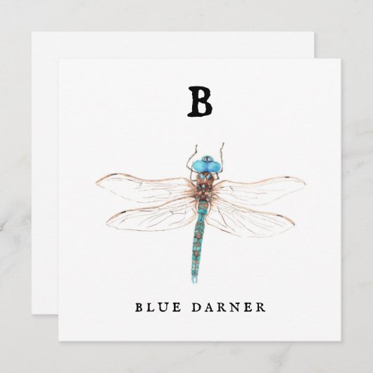 "B" Blue Darner (Voorkant / Achterkant)