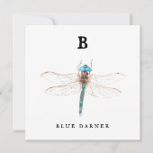 "B" Blue Darner (Voorkant)