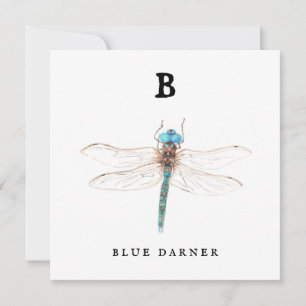 "B" Blue Darner