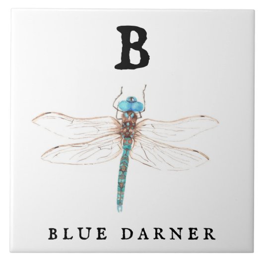 "B" Blue Darner Tegeltje (Voorkant)