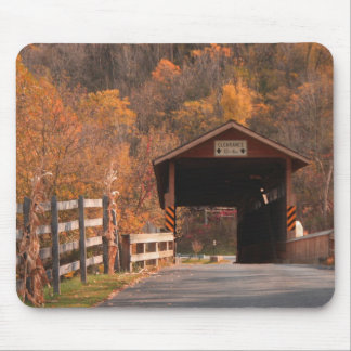 B\Covered bridge, Bedford, Pa. Muismat