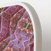 B & G L Ikat Pickleball Paddle (Links Detail)