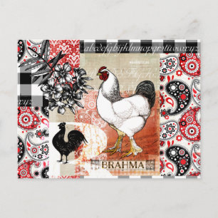 B is voor Brahma Backyard Chicken Briefkaart