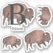 B pour Stickers Bison (Devant)