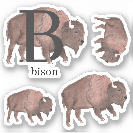 B voor Bison-Stickers Sticker (Voorkant)