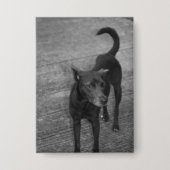 B&W - Aspin Button (Voorkant)