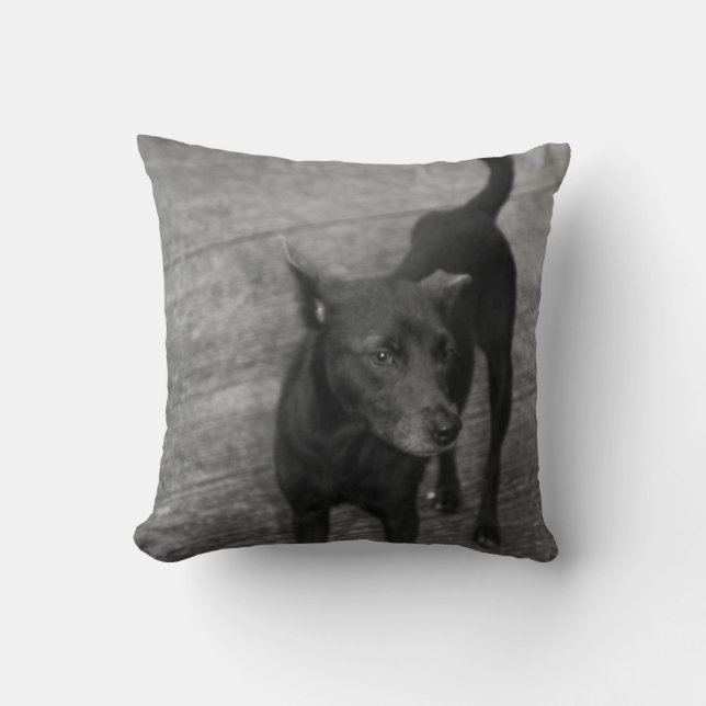 B&W - Aspin Kussen (Voorkant)