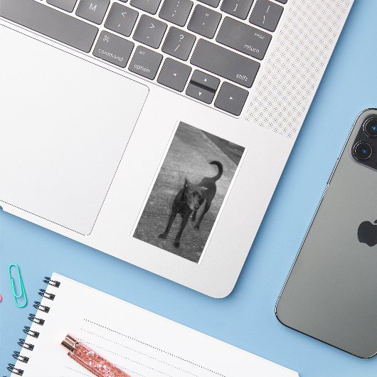 B&W - Aspin Sticker (Laptop met iPhone)