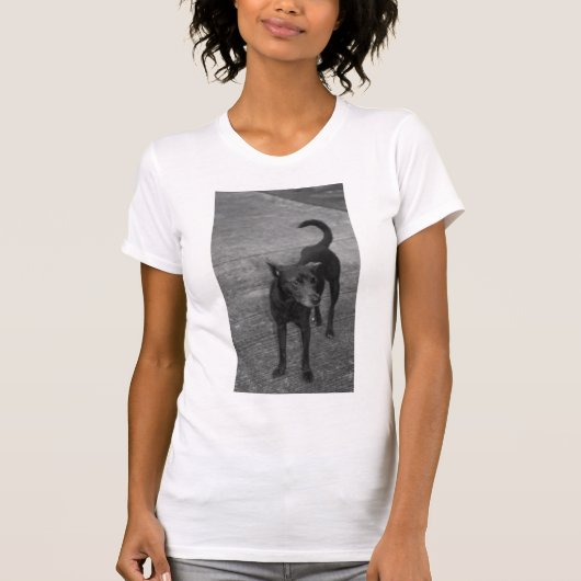 B&W - Aspin T-shirt (Voorkant)