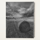 B&W Barley Field (Dos)