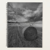 B&W Barley Field (Devant)