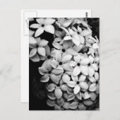 B&W BRIEFKAART (Voorkant / Achterkant)