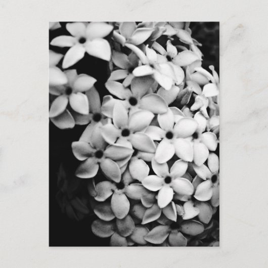 B&W BRIEFKAART (Voorkant)