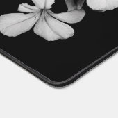 b&w carte postale (Coin)