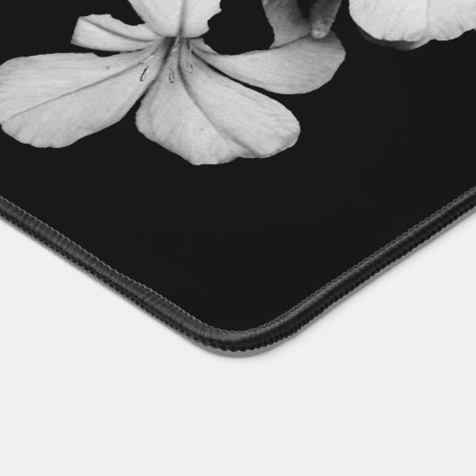 b&w carte postale (Coin)