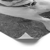 B/W Chevy Poster (Hoek)