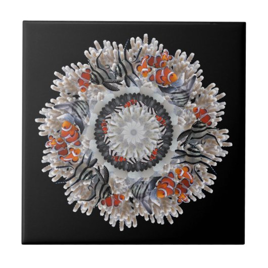 B&W clown 30 x 30 Tegeltje (Voorkant)