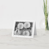 B&W Dandelions Merci (Devant)