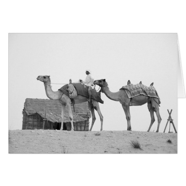 B&W Dubai woestijn (Voorkant Horizontaal)