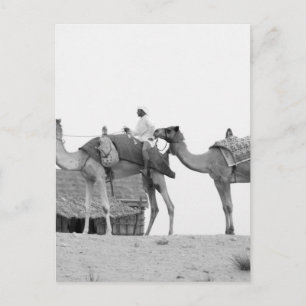B&W Dubai woestijn Briefkaart