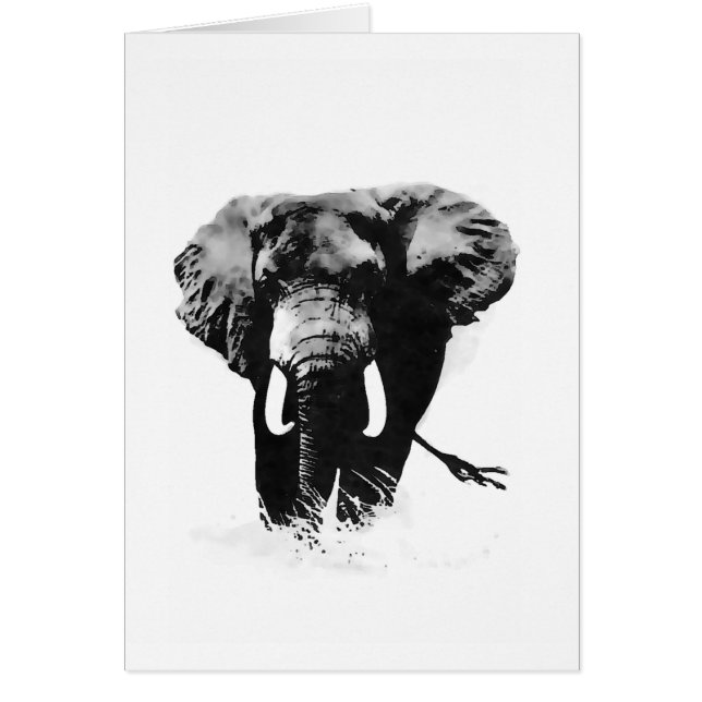 B&W Elephant (Voorkant)