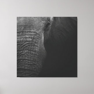 B&W Elephant Canvas Afdruk